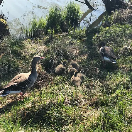 Διαμέρισμα Luckylake