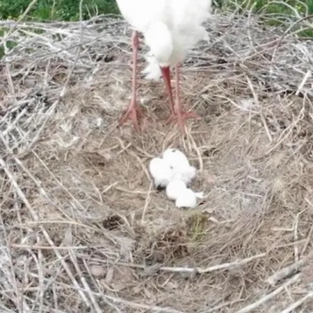 Διαμέρισμα Luckylake *