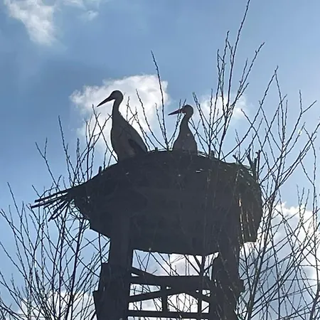 Luckylake